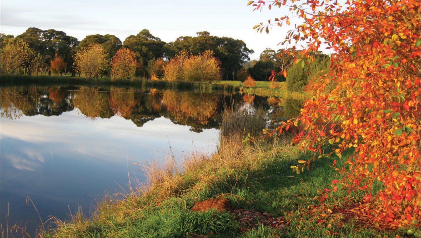 Alpine NSW Darwin Holiday