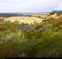 Archer Drive Scenic Drive and Lookout - Darwin Holiday