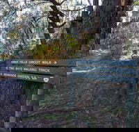 Arthurs Seat to Kings Falls Walk - Darwin Holiday