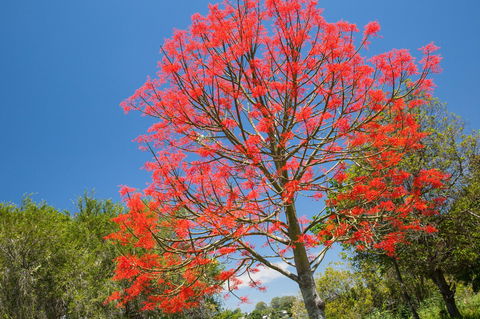 Ashby - Darwin Holiday 1