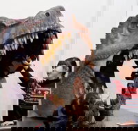 Australian Museum - Darwin Holiday