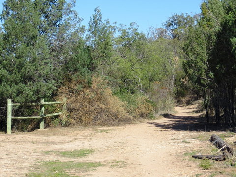 Bindea Walking Track - Darwin Holiday 1
