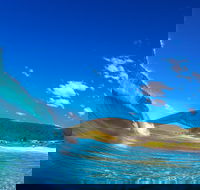 Blueys Beach Pacific Palms - Darwin Holiday