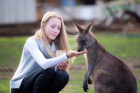 Bonorong Wildlife Sanctuary - Darwin Holiday 1