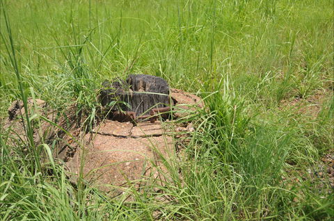 Brocks Creek Chinatown And Temple Site - Darwin Holiday 0