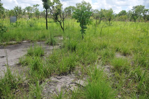 Brocks Creek Chinatown And Temple Site - Darwin Holiday 2
