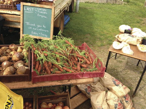Burnie Farmers Market - Darwin Holiday 0