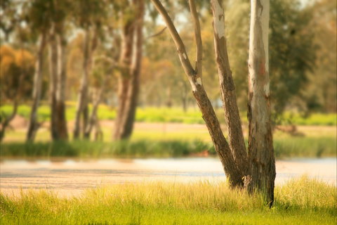 Cecil Plains To Tara Fishing Tour - Darwin Holiday 1