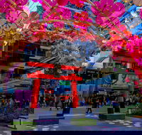 Cherry Blossom Festival - World Square - Darwin Holiday