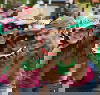 Chinchilla - Darwin Holiday