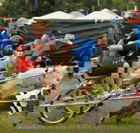 Comboyne - Darwin Holiday