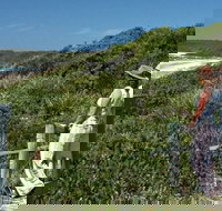 Conjola Beach Picnic Area - Darwin Holiday