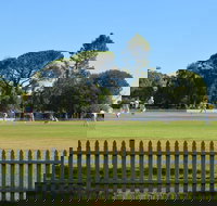 Cootamundra Cricketing Exploration