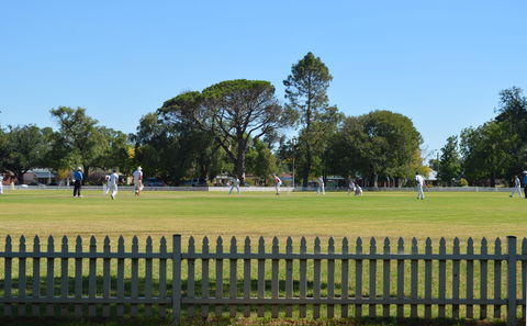 Cootamundra Cricketing Exploration - Darwin Holiday 0