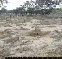 Culgoa Connellys Track - Darwin Holiday