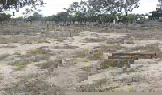 Book North Wagga NSW Attractions Darwin Holiday Darwin Holiday