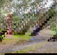 Currawong Bush Park - Darwin Holiday