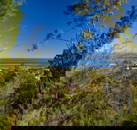 Dunwich Goompie - Darwin Holiday