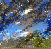 Euroa Arboretum - Darwin Holiday