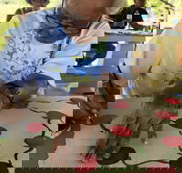 Euraba Paper Aboriginal Corporation - Darwin Holiday