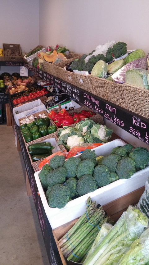 Farmers Harvest - Darwin Holiday 1