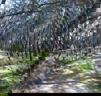 Federation Walk - Darwin Holiday