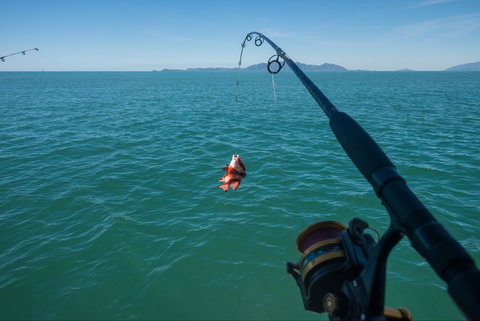 Fishing At Magnetic Island - Darwin Holiday 1