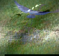 Germein Reserve - Darwin Holiday