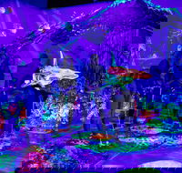 Glowing Rooms 3D Mini Golf - Darwin Holiday