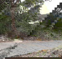 Great North Walk  Ku-ring-gai Chase National Park - Darwin Holiday