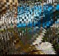 Gulaga Mountain Walk - Darwin Holiday