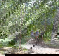 Hay Free Push Bikes - Darwin Holiday