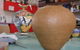 Hermannsburg Potters - thumb 1