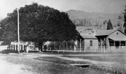 Jamieson Museum - Darwin Holiday 0