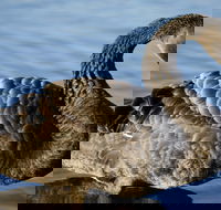 Lake Monger - Darwin Holiday