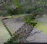 Leschenault Peninsula Conservation Park - Darwin Holiday