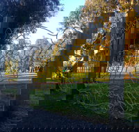 Mansfield Botanic Park - Darwin Holiday