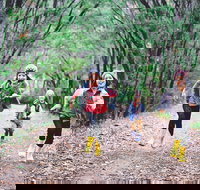 Margaret River Rails Trail - Darwin Holiday