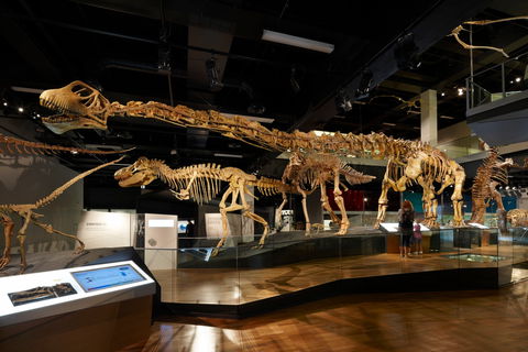 Melbourne Museum - Darwin Holiday 1