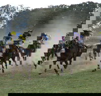 Mendooran - Darwin Holiday