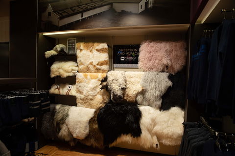 Merino Collection - Perth Airport T1 - Darwin Holiday 1