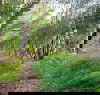 Meroo Lake walking track