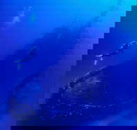 Merimbula Divers Lodge - Darwin Holiday