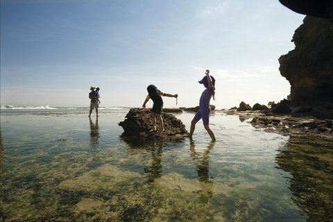 Mornington Peninsula National Park - Darwin Holiday 2