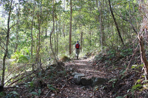 Morelia Walking Track, D'Aguilar National Park - Darwin Holiday 1