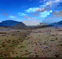 Mount Ramsay and Baralaba Loop - Darwin Holiday