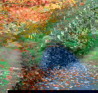 Mount Wilson and Mount Irvine - Darwin Holiday