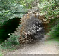 Mushroom Tunnel - Darwin Holiday