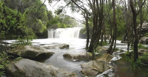 Nellies Glen Carrington Falls - Darwin Holiday 0
