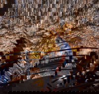 Ngilgi Cave - Darwin Holiday